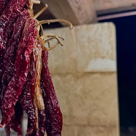 Eos Con Piscina Privata Nel Cuore Del Parco Naturale Di Appartamento *