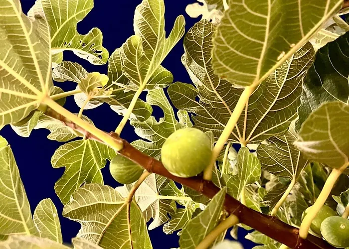 Eos Con Piscina Privata Nel Cuore Del Parco Naturale Di דירה